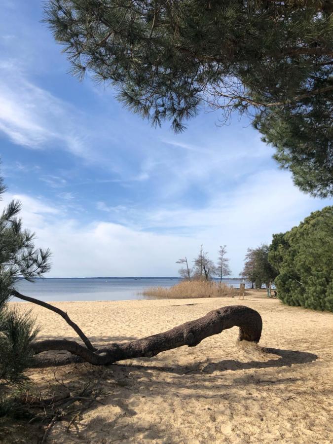 Gite Au Coeur Des Landes Lue Екстер'єр фото